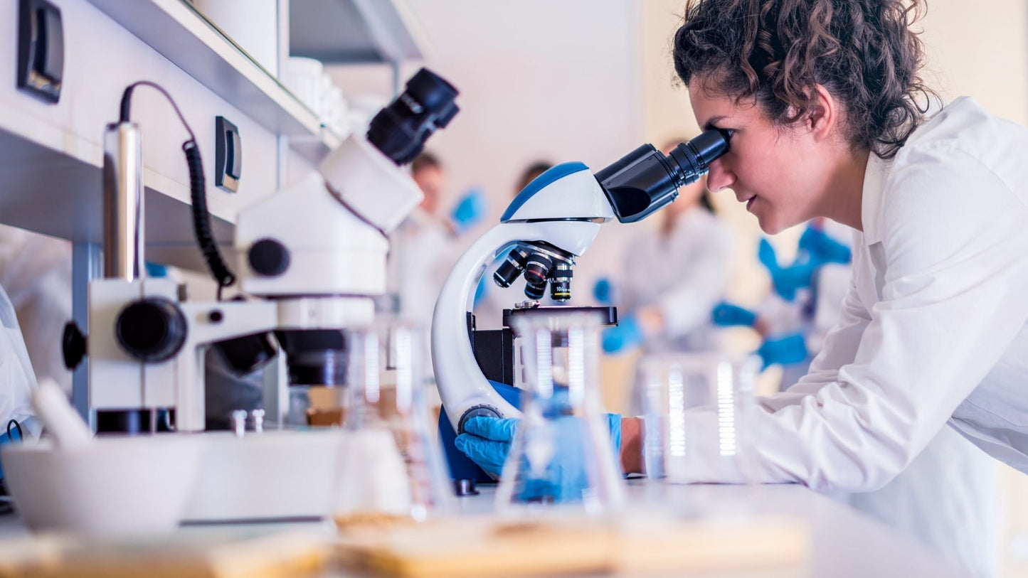 Postbiotics: Latest Research on its Benefits for Immune Health