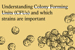 Verständnis der koloniebildenden Einheiten (KBE) und der für die Darmgesundheit wichtigen probiotischen Stämme