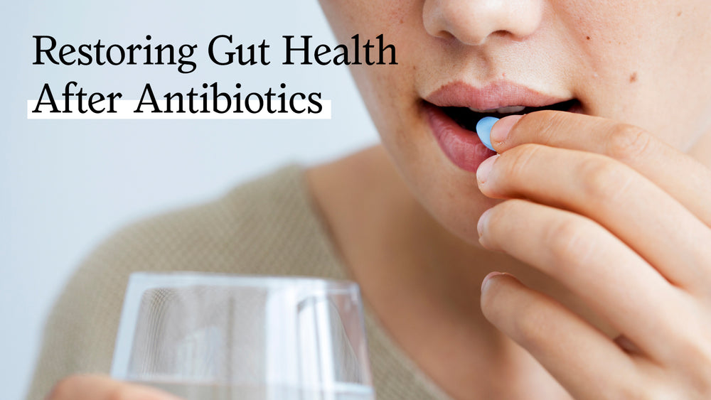 Wiederherstellung der Darmgesundheit nach Antibiotika: Wie Probiotika und Postbiotika helfen können