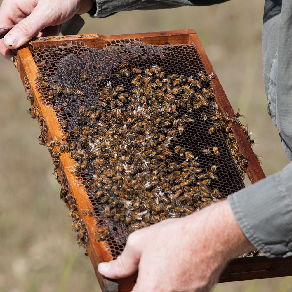 8 facts you need to know about Organic Raw Honey