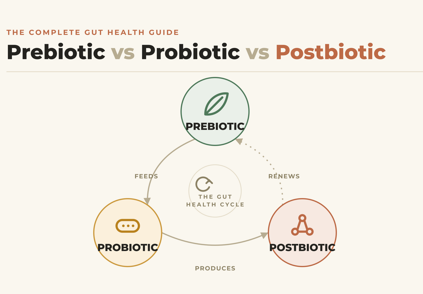 Postbiotic vs Prebiotic vs Probiotic - Complete Gut Health Guide
