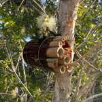 Create this Cosy Bee Hotel