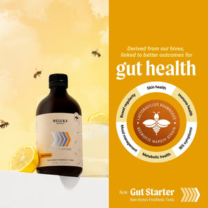 
                  
                    갤러리 뷰어에 이미지 로드, Value Pack- Gut Starter- Raw Honey Postbiotic Tonic, Lemon Flavour
                  
                